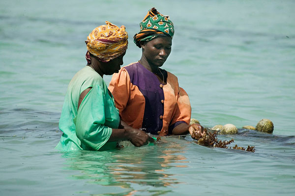 Gender Equality in Coral Reef Social-Ecological Systems